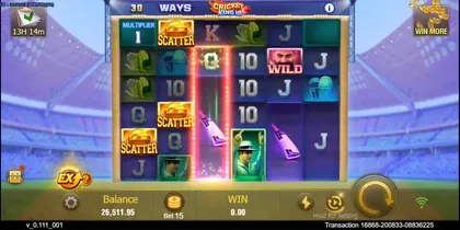 Cricket King 18 provider ပုံ 2